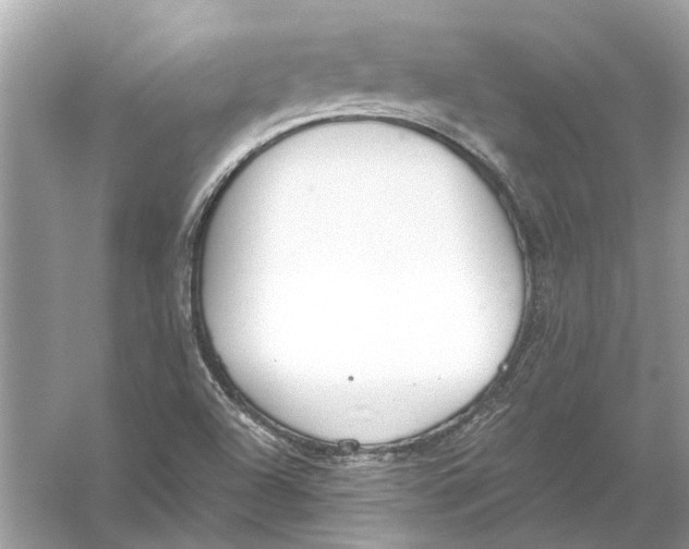 X0000056001504200509162304