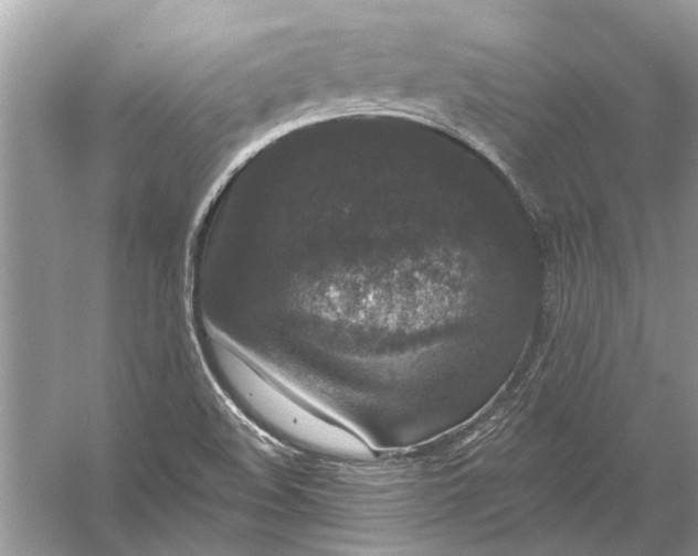 X0000056001508200509162304