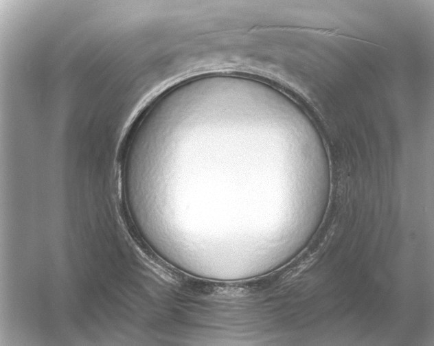 X0000056001509200509162304