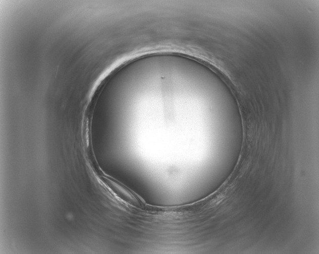 X0000056001510200509162304