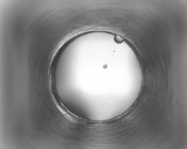 X0000056001511200509162304