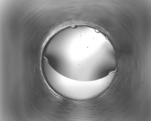 X0000056001512200509162304