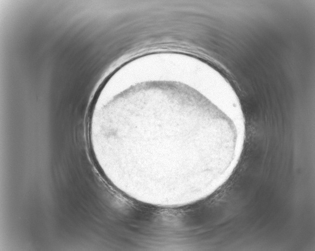 X0000056001514200509162304