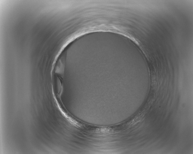 X0000056001515200509162304