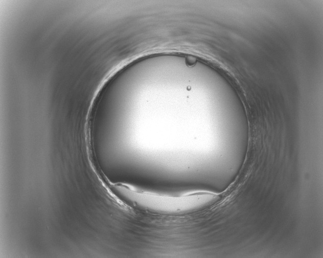 X0000056001517200509162304