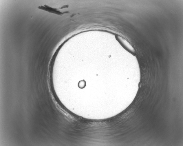 X0000056001518200509162304