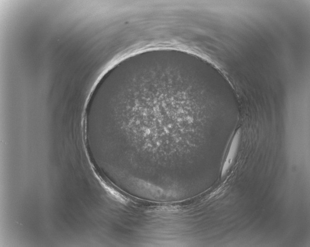 X0000056001519200509162304