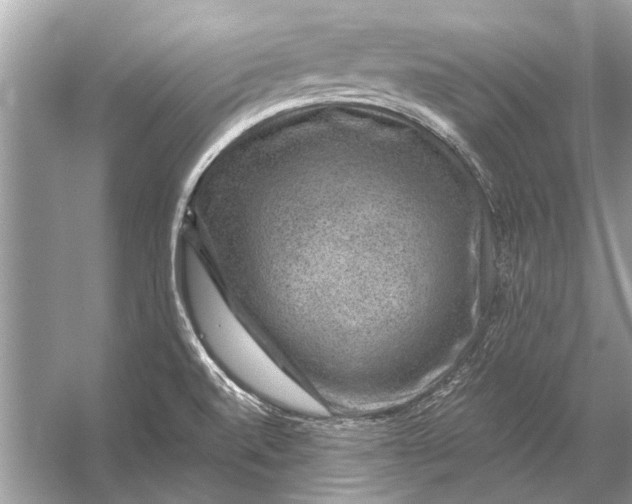 X0000056001520200509162304