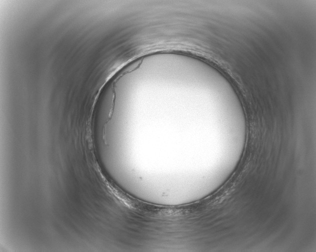 X0000056001521200509162304