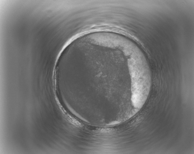 X0000056001522200509162304