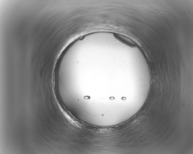 X0000056001523200509162304