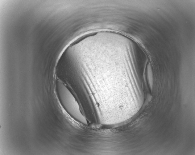 X0000056001524200509162304