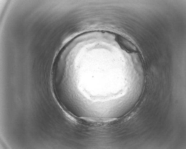 X0000056001525200509162304