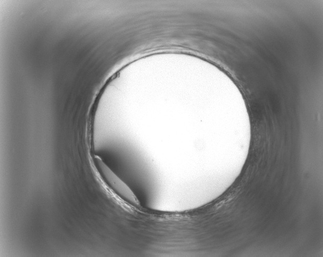 X0000056001526200509162304