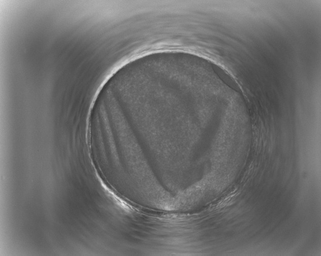 X0000056001527200509162304