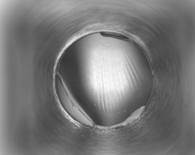 X0000056001528200509162304