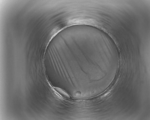 X0000056001529200509162304