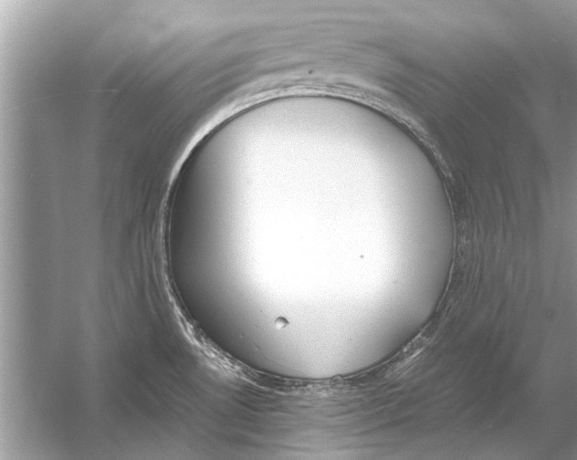 X0000056001530200509162304