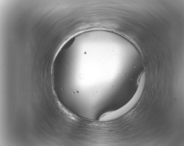 X0000056001532200509162304