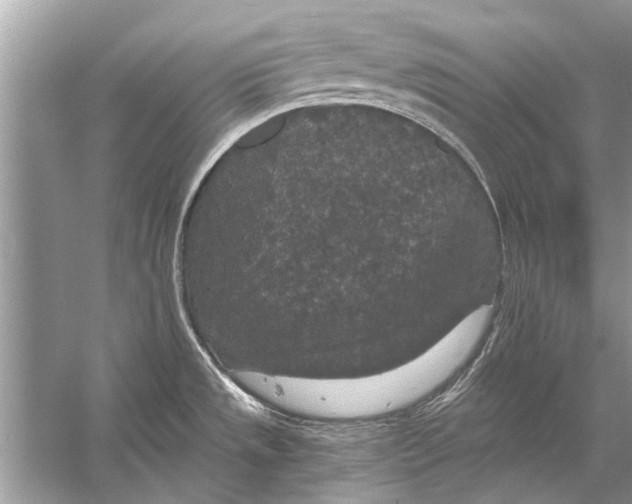 X0000056001533200509162304