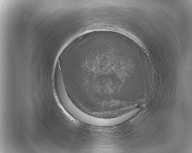 X0000056001536200509162304