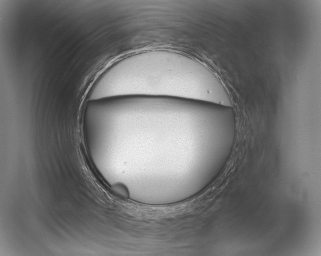 X0000056010002200508190906