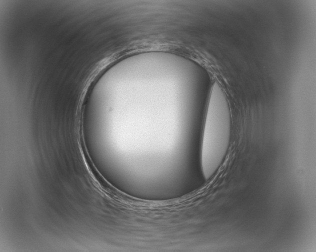X0000056010003200508190906