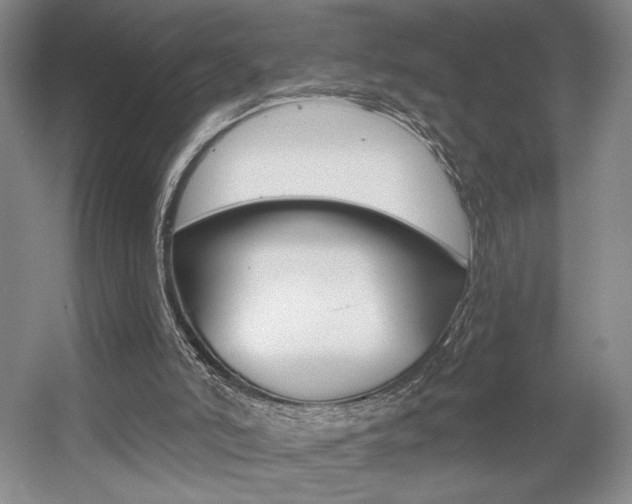 X0000056010006200508190906