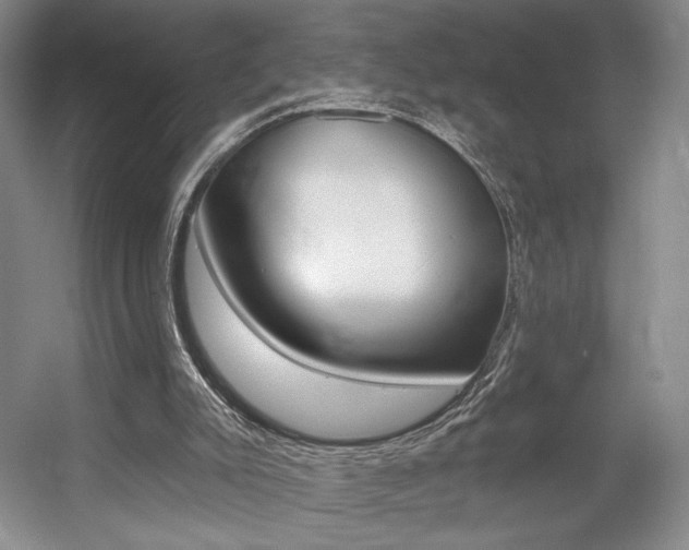 X0000056010007200508190906