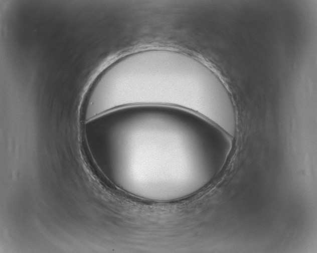 X0000056010008200508190906