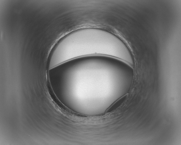 X0000056010011200508190906