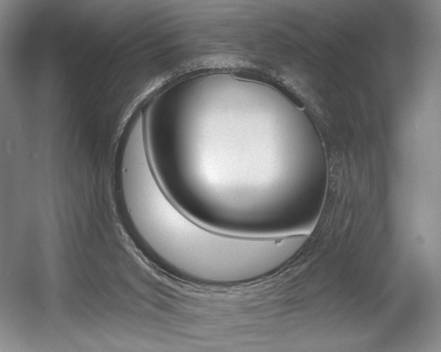 X0000056010015200508190906