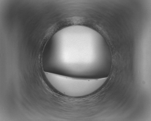 X0000056010018200508190906