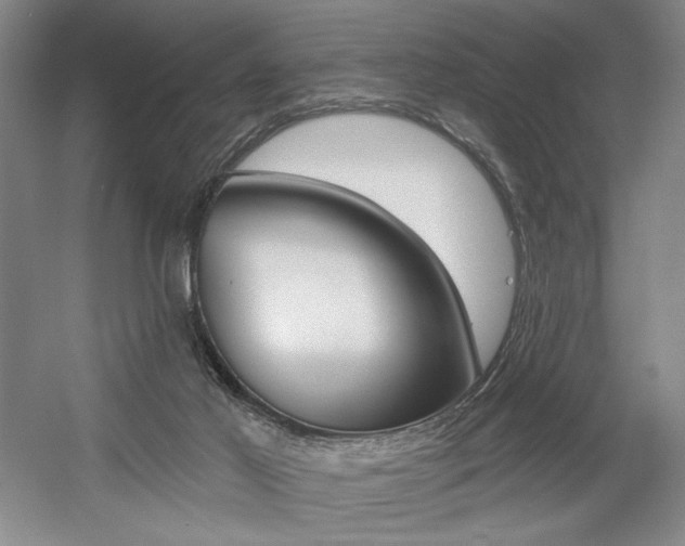 X0000056010021200508190906