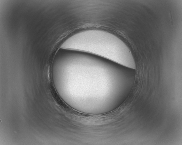 X0000056010024200508190906