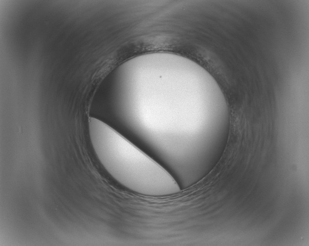 X0000056010026200508190906