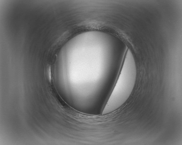 X0000056010027200508190906