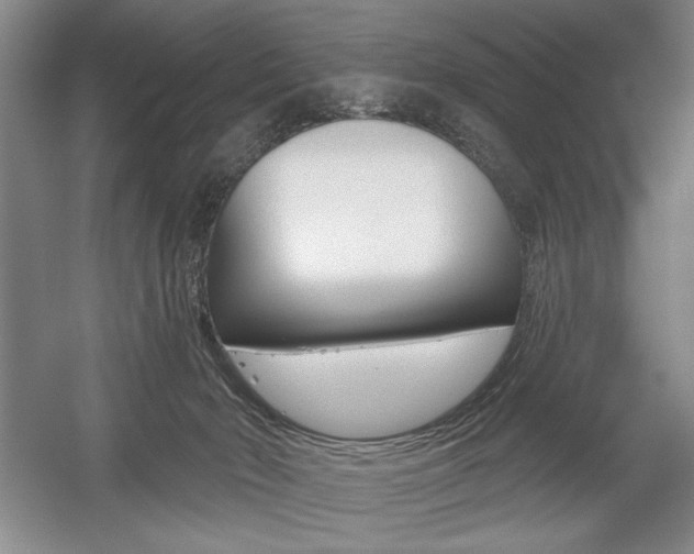 X0000056010030200508190906