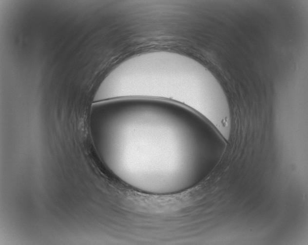 X0000056010031200508190906