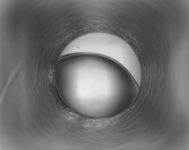 X0000056010033200508190906