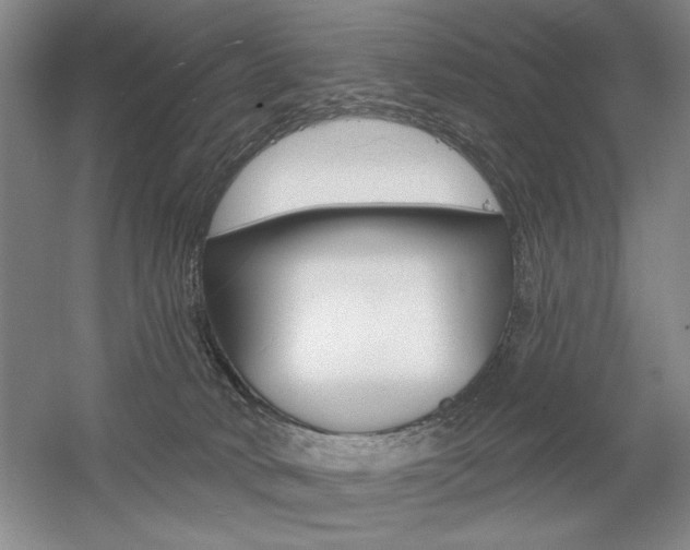 X0000056010034200508190906