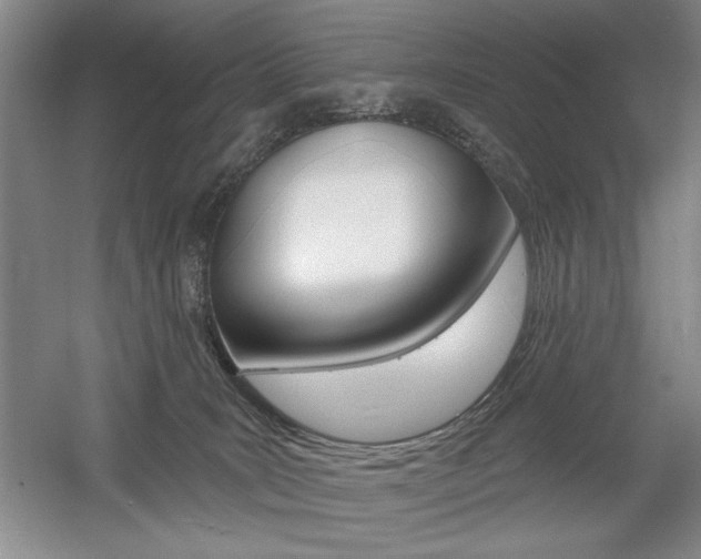 X0000056010035200508190906