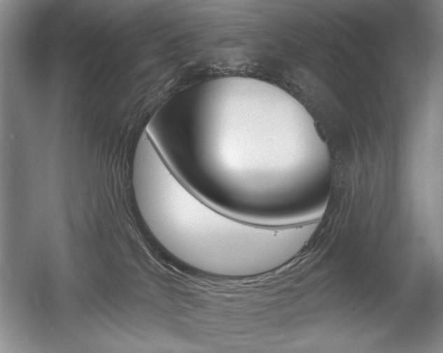 X0000056010040200508190905