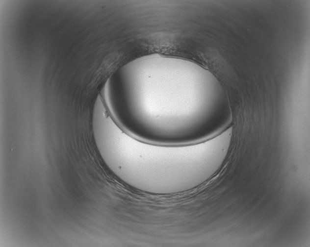 X0000056010041200508190905