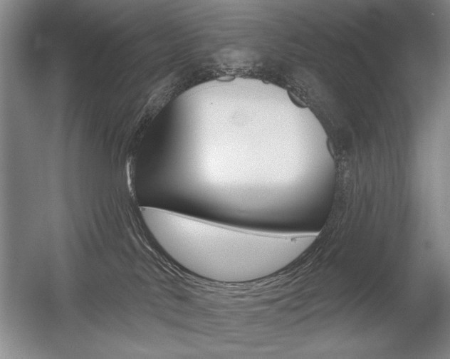 X0000056010042200508190905