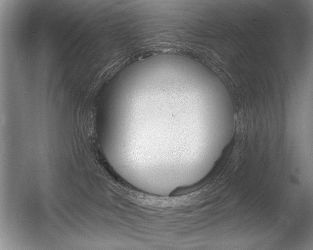 X0000056010043200508190905