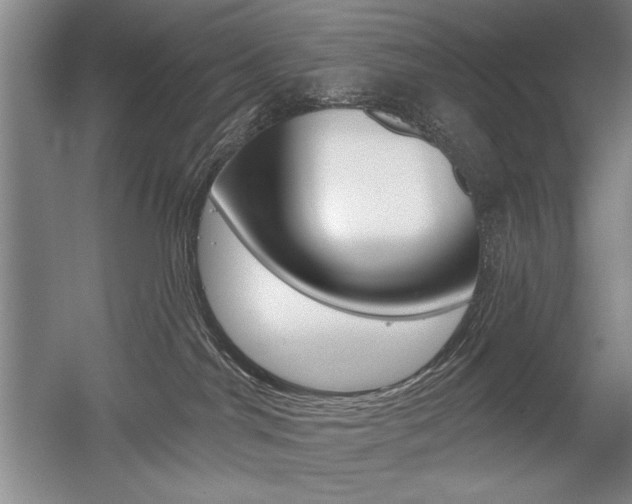 X0000056010044200508190905