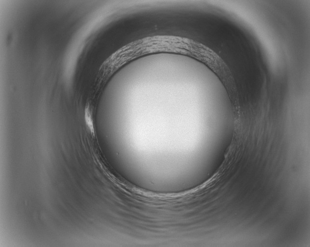 X0000056010047200508190905