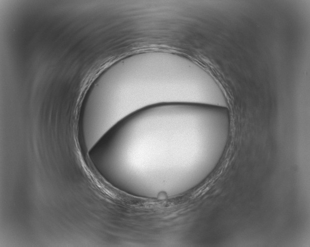 X0000056010049200508190904