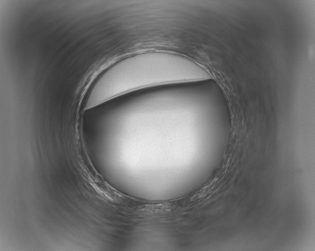X0000056010050200508190904